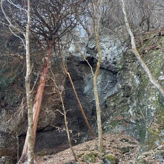 滝があるはず笑