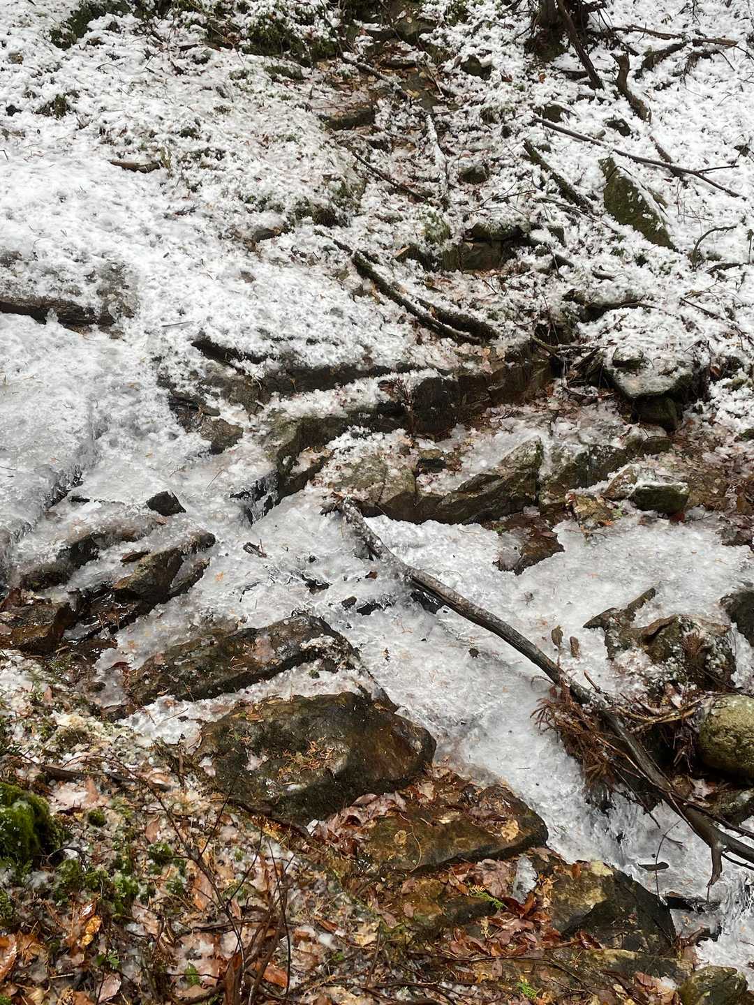 川は上流から凍ってました