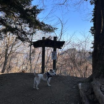 看板が見えない…