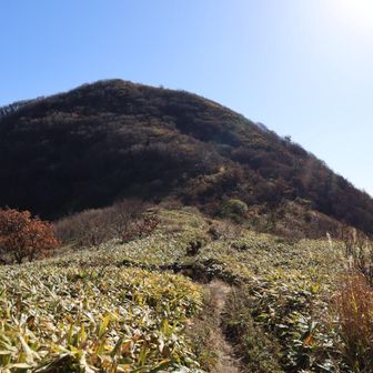 孫三瓶山までは短いけどいい感じの登り