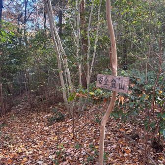 どんぐり山へ立ち寄り⤴︎