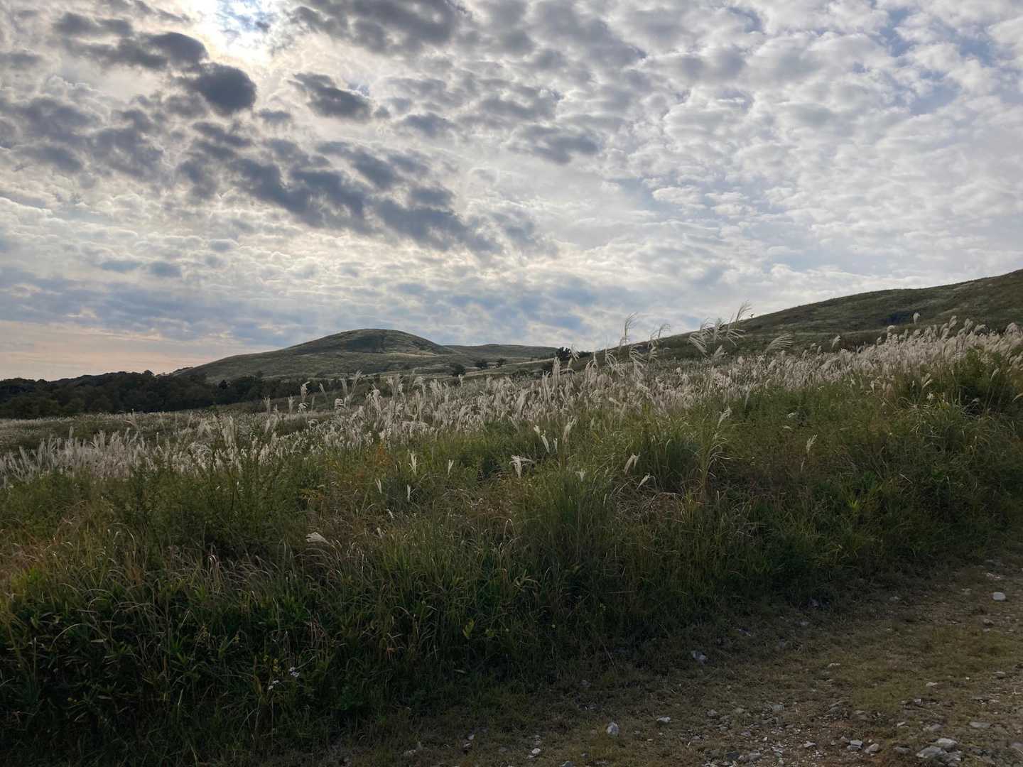 おはち山-西の西山 周回コースの写真