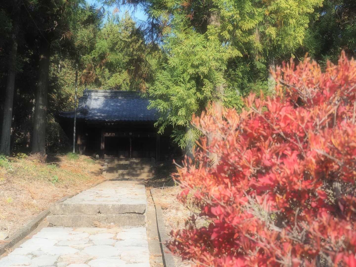 大小山-妙義山-西場富士 縦走コースの写真