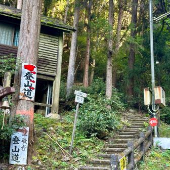 キャンプ場横の登山口から入山😊
この山は携帯の電波は📶良子👌