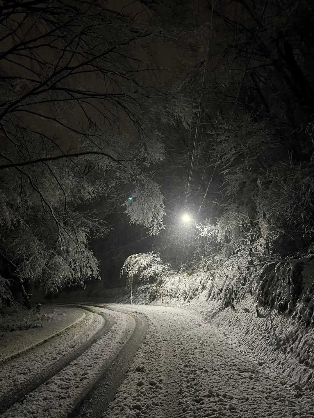 いろいろあってスタート遅れた。
雪が積もったので、多目的広場からロードを登る。
浅田の丘からトレイルに入る。