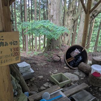 ビールが冷えてた