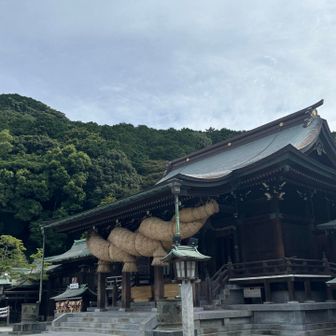 戻ってきました