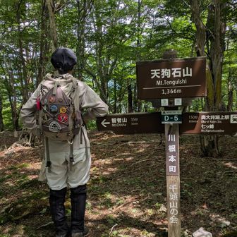 天狗石山到着‼️
猿見石からのあの急峻な道をまた戻る気力はすっかり抜けています。
前回はこの先の益田山〜七ツ峰が更に大変だったので、猿見石の大変さが上書きされちゃっていたのだと思います。
今日はこのコースにしたお陰で、猿見石〜天狗石の大変さが際立ちました。