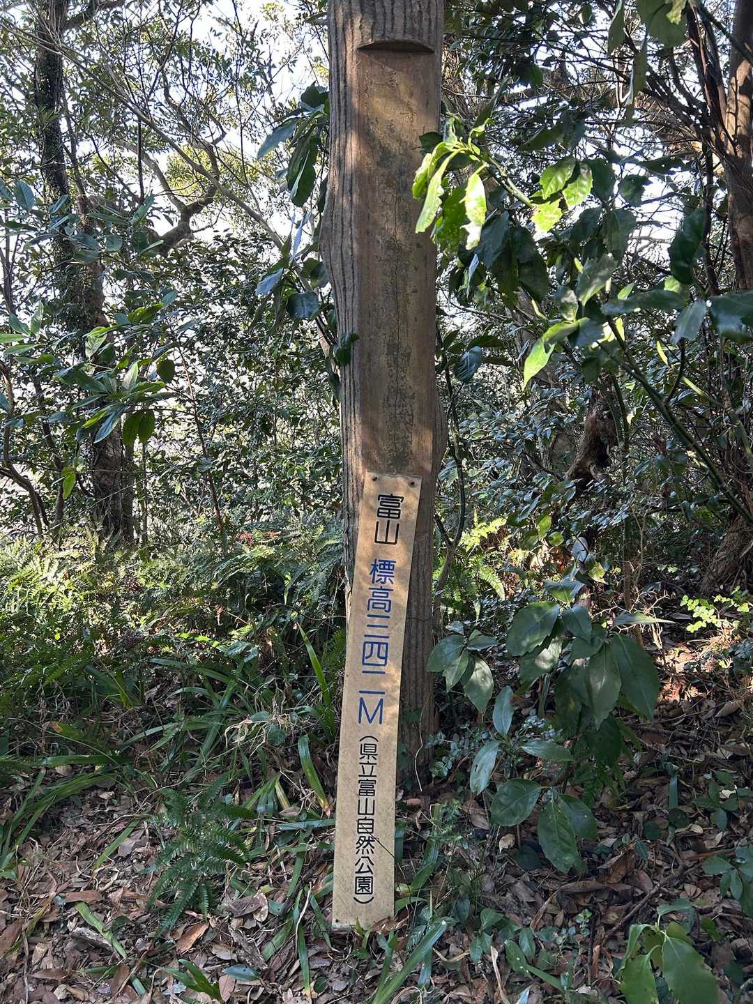 少し探しましたが見つけました。
この後下山もなかなかの下りでロープがあって助かりました。
