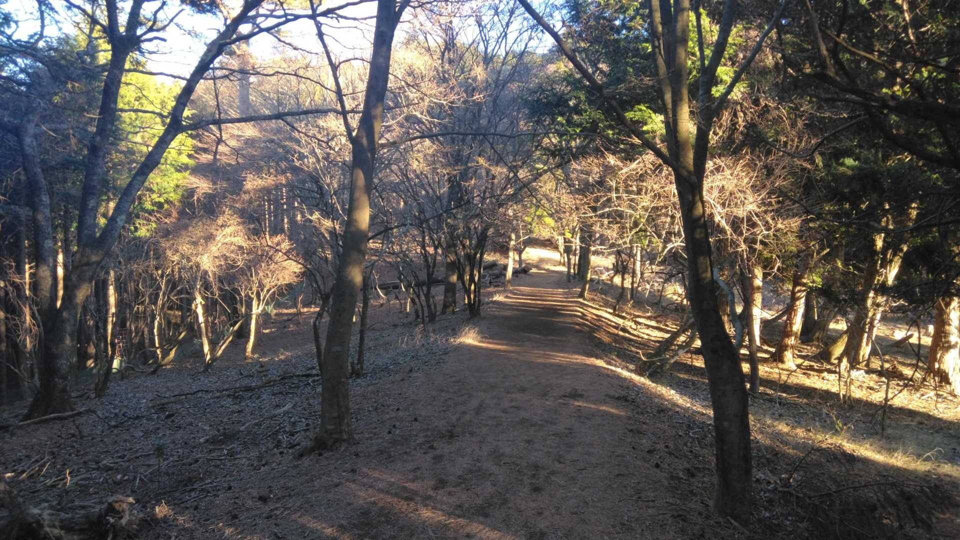 僕の大好きゾーン❤😆

やっぱ、ココの雰囲気がとっても優しくて、何だか違う空気感を感じます☺️
「ようこそ～‼️いらっしゃい、また来たね～会えたね～っ‼️」…と、大山が歓迎してくれてるんです😆
きっと神様への入口なんだと勝手に思ってます🎵