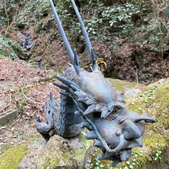 思っていたより小がらな龍さん。
体も映したいけど、お顔も映したい