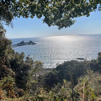 ハート型になってる💚　