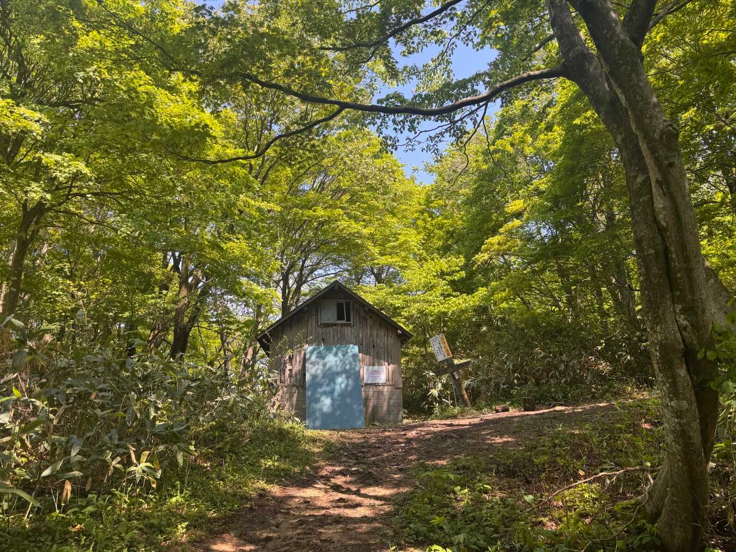 小屋までノンストップで登るといういつもの目標もクリア😁👍