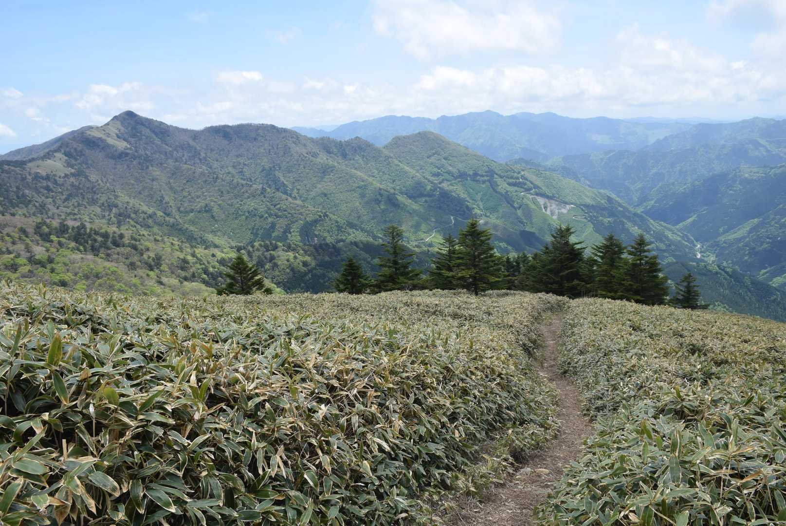 寒風山・笹ヶ峰周回 | 急登の先にひろがる四国名峰。360度のパノラマコースの写真