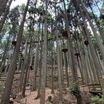 施設の中を登山道が突っ切ってます。
両サイドには楽しそうなものが沢山ありますが…山に登るより激しそう🤣