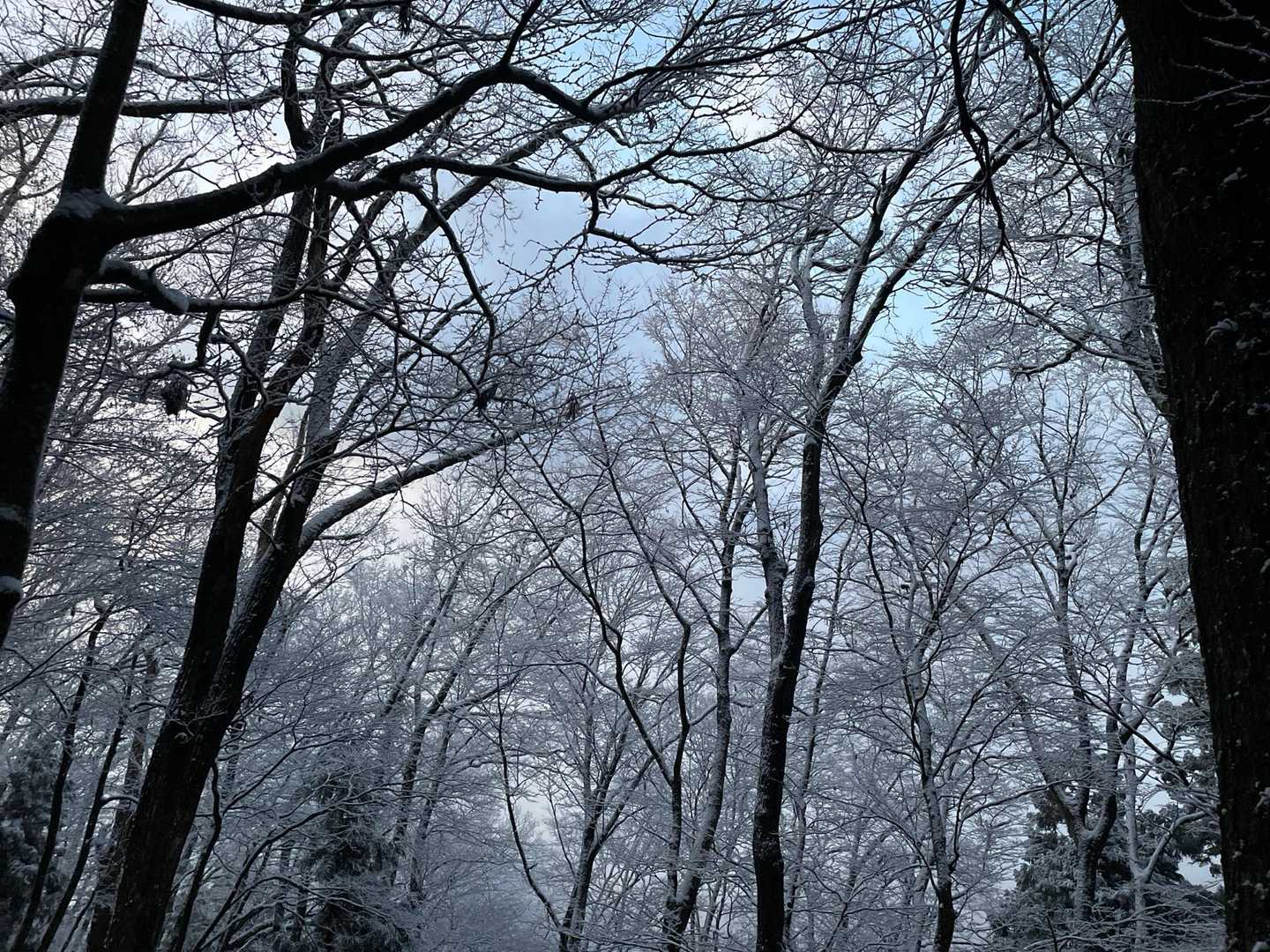 1年の始まりに最高な景色が見れた♪