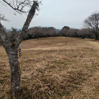 大峰山も史跡なので！？だだっ広い。
