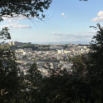 ピークからの景色は少しだけ🤏