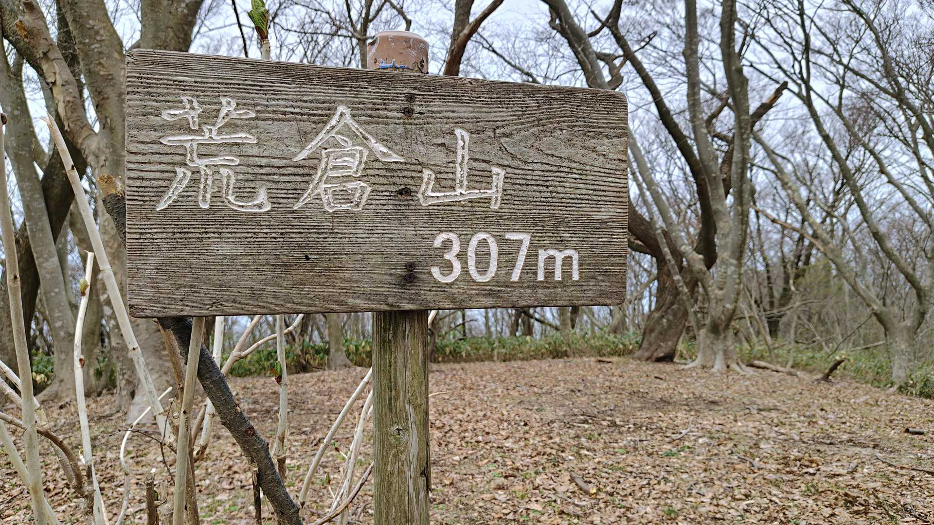 　相変わらず誰もいません。