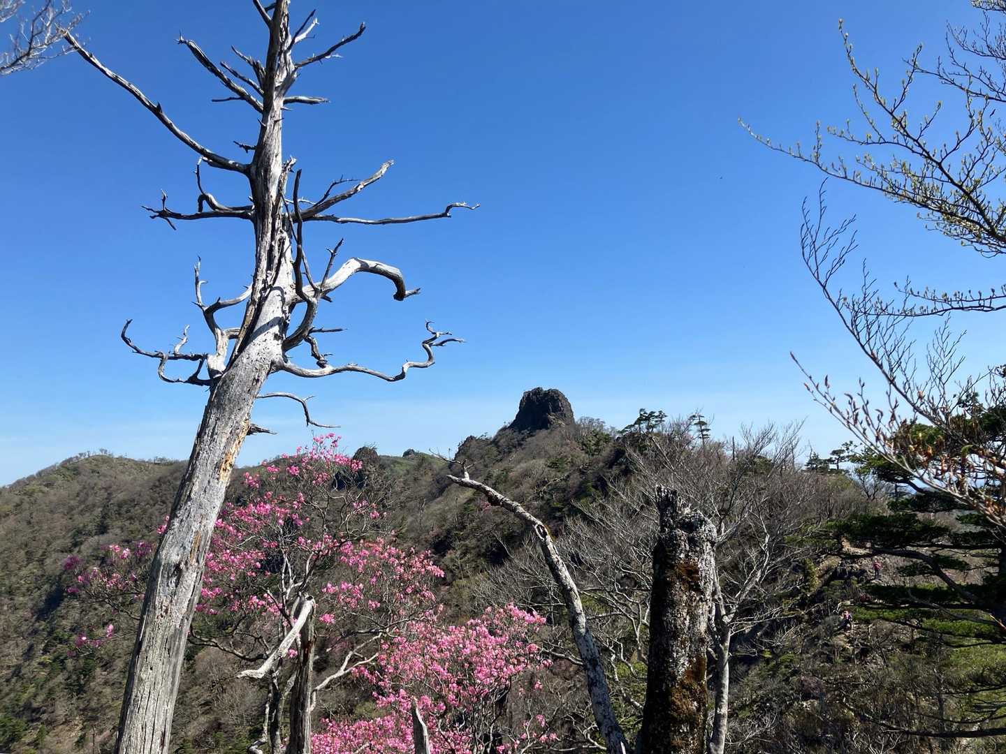 鹿納谷登山口-鹿納山-鹿納の野 周回コースの写真