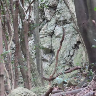 獅子岩、
ライオンの顔のように見えたので？
