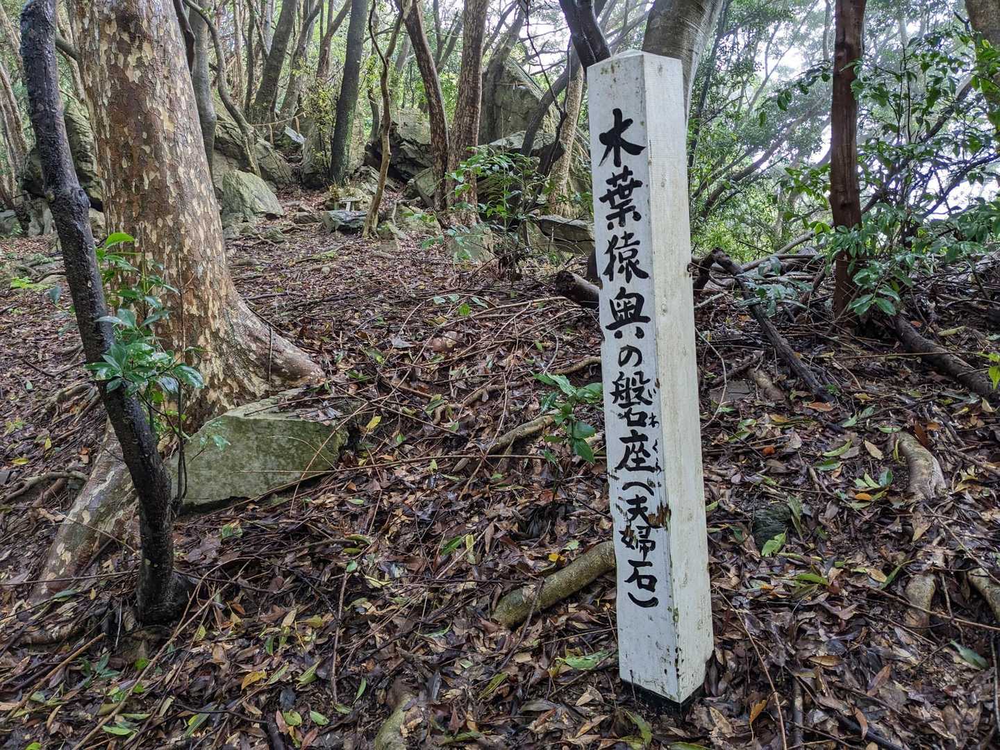 木葉山登山道入り口-休憩所-木葉山 往復コースの写真