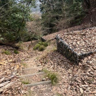 さあ降りて行きます、ここから先は初。