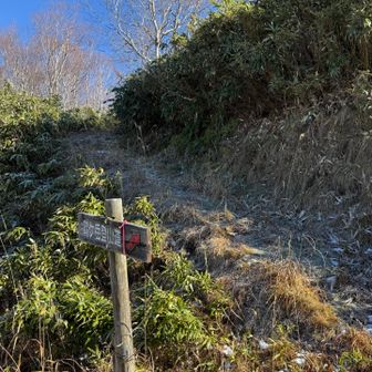 分岐点
細い道を上ると