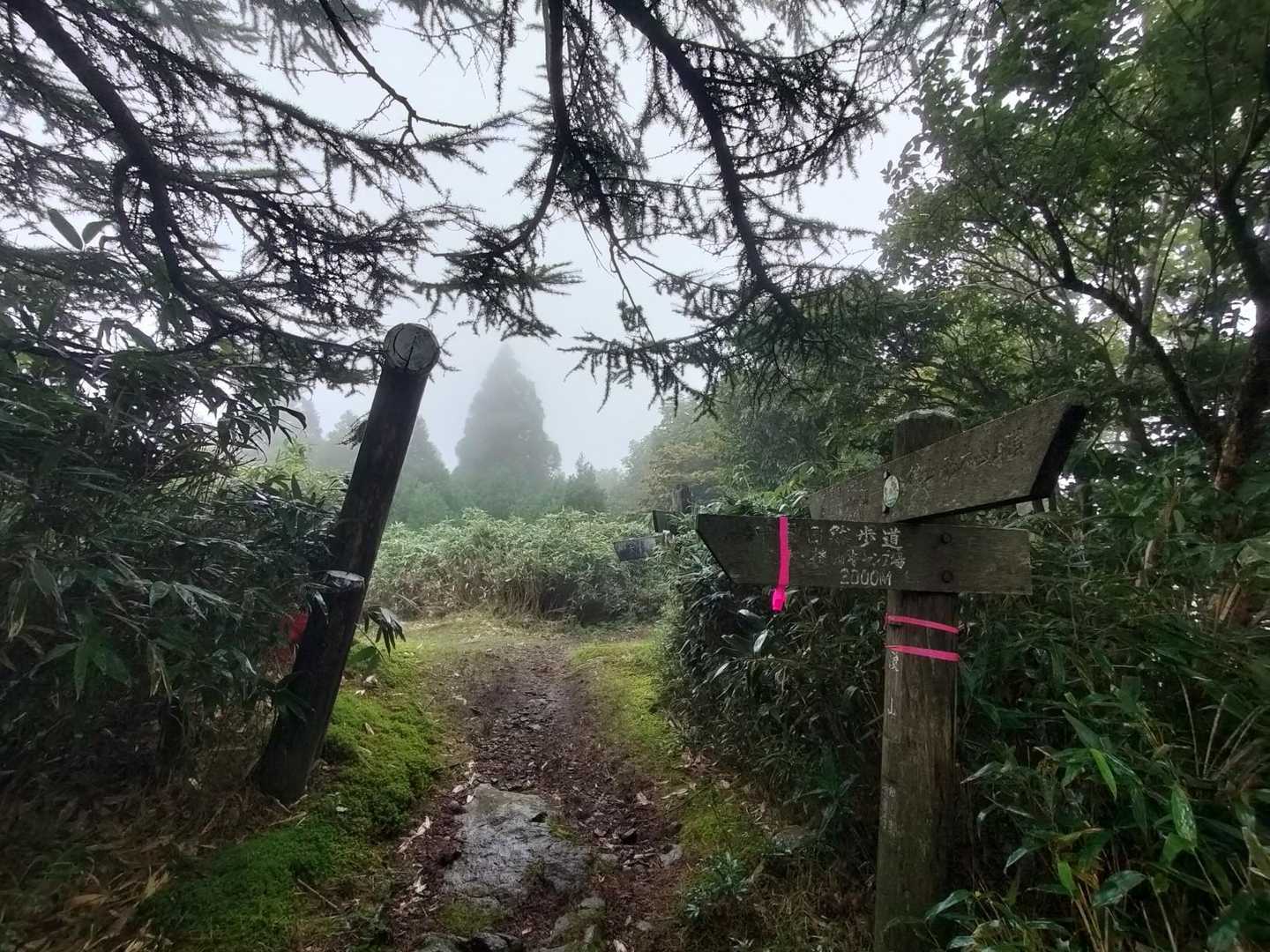 風も強く寒い位なのですぐに頂上から降りて樹林帯へと戻ります😌