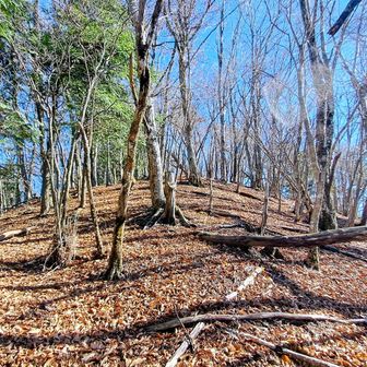 ビクトリーロード🎶🎶🎶