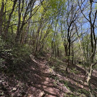 お昼ご飯を済ませて下山