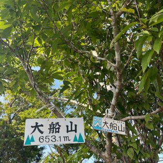 看板　653m