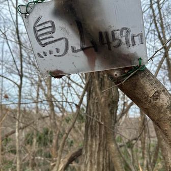 未だに信じられない😢