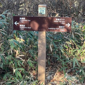 さて、岩梯子方面へ。この後巻道に翻弄される😱