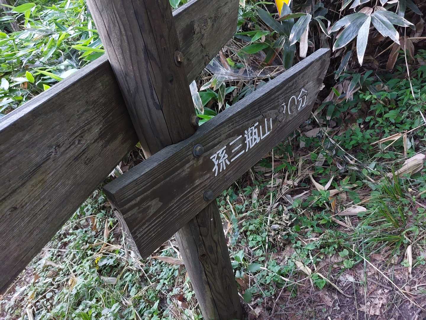 「孫三瓶」まで残り30分の表示。もう着きますね。しかし、三瓶山はそれから先に行く場合は一座一座、登り下りを繰り返して縦走する感じなので、縦走するには体力が必要なんですよ。、涼しくなって又、縦走したいので、やって参ります！✌️とても良い山です！