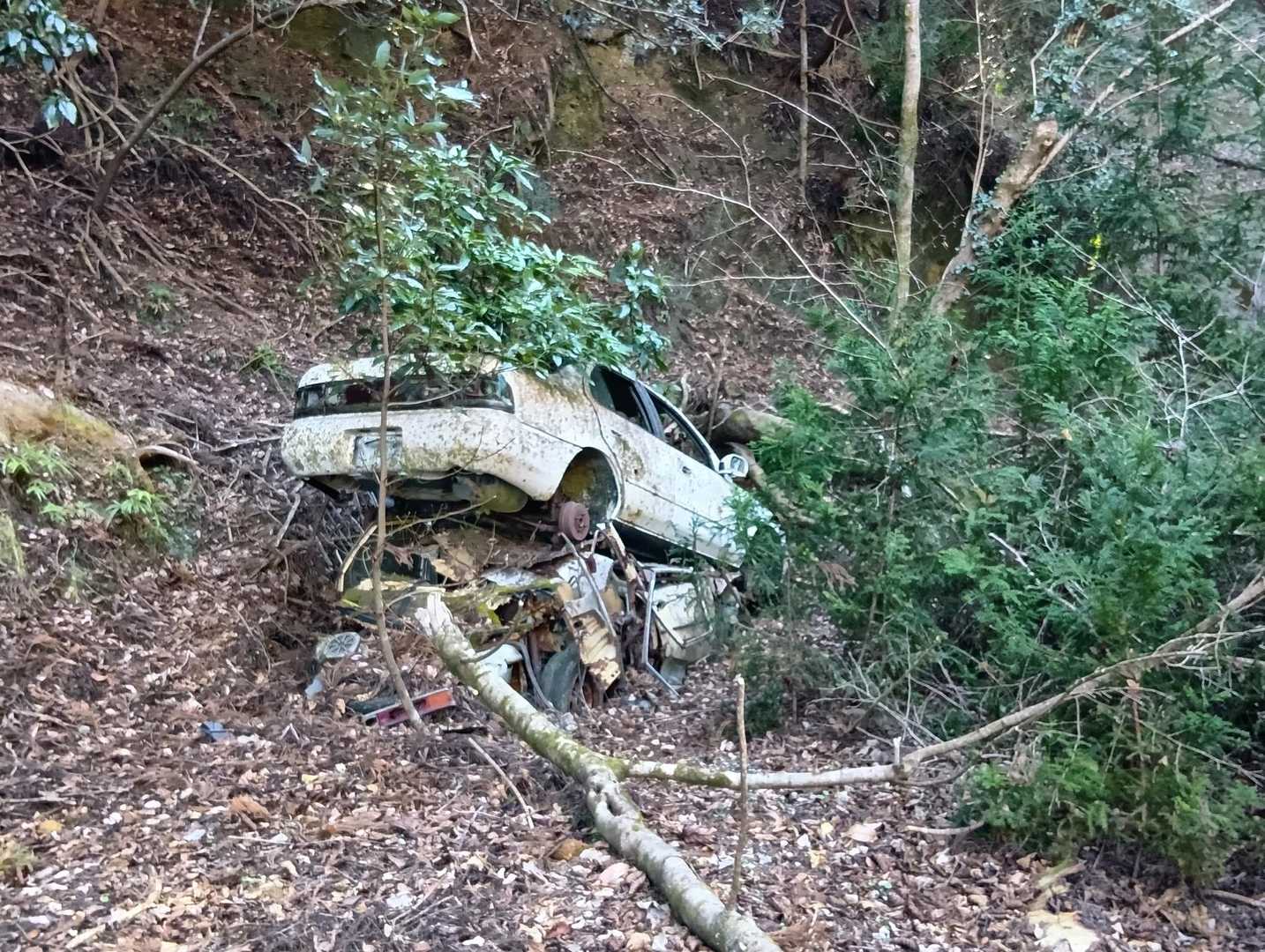 石射太郎-高宕観音堂-高宕山 周回コースの写真