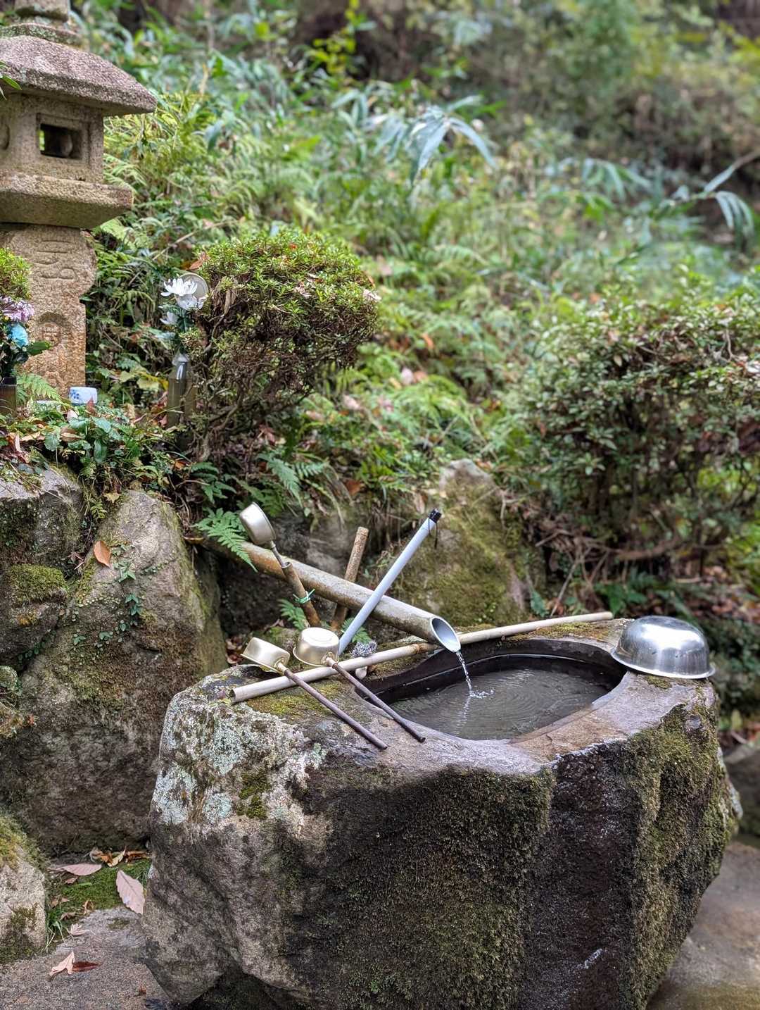 風情を感じます。