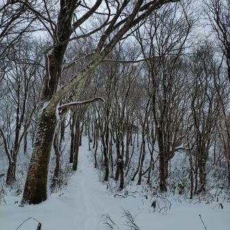 釈迦堂山へ向う。