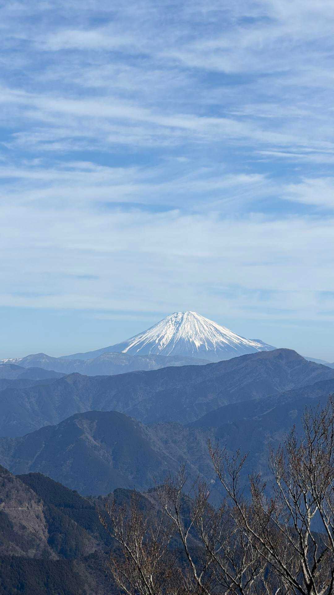 南尾根登山口-大札山 往復コースの写真