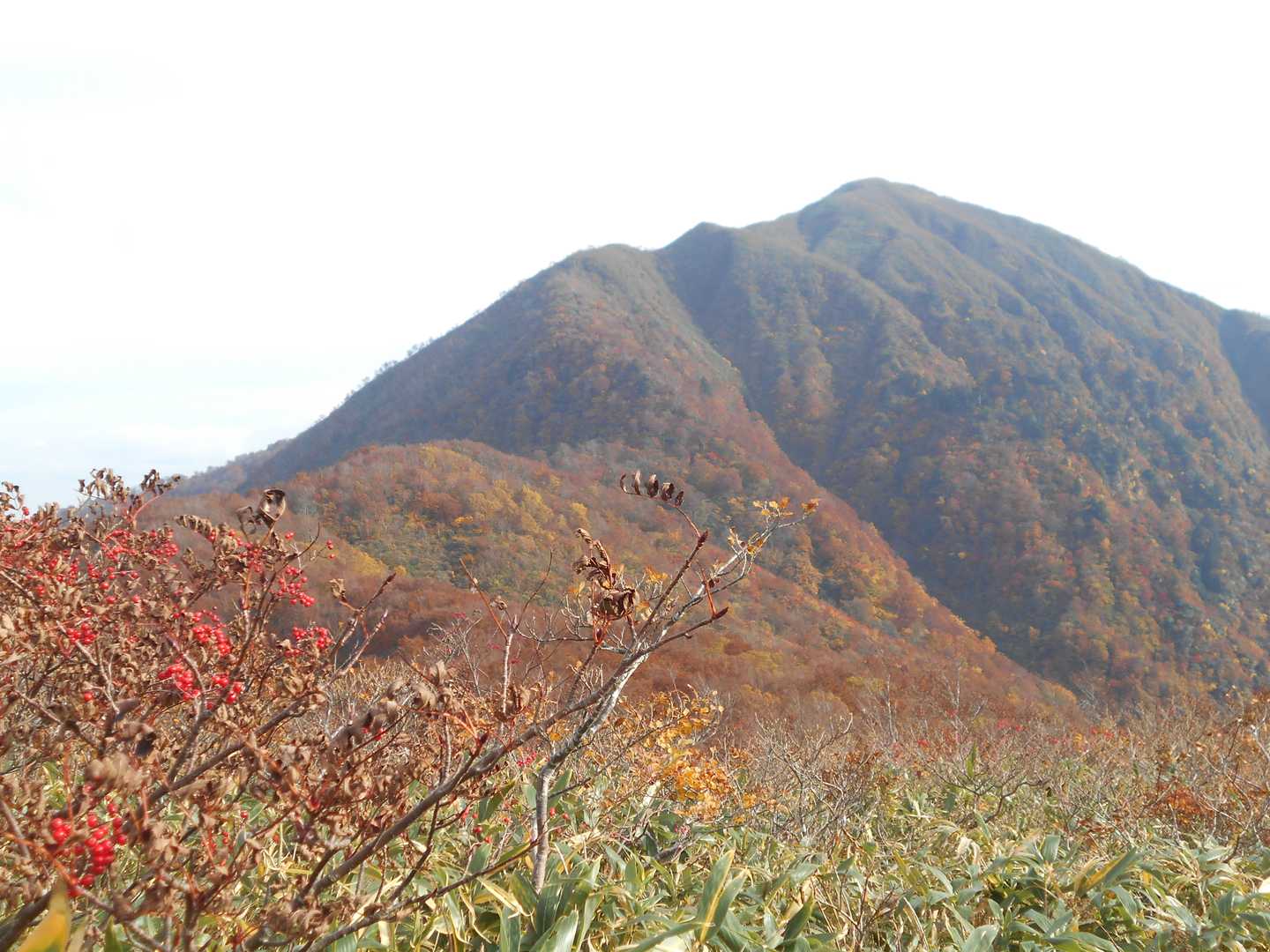 此処から見る荒島岳は最高〜😻