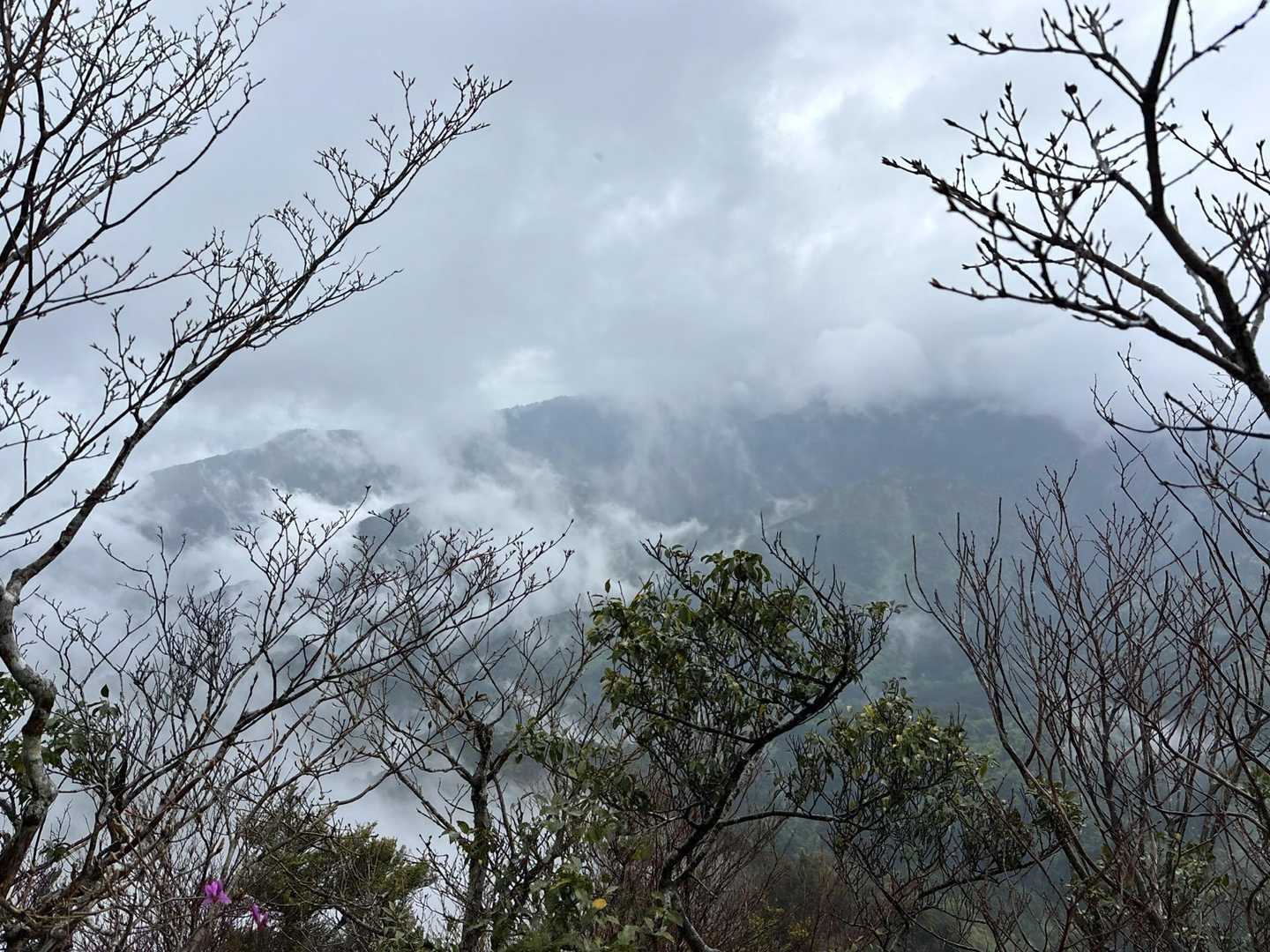 杉ヶ越登山口-新百姓山-桧山 往復コースの写真
