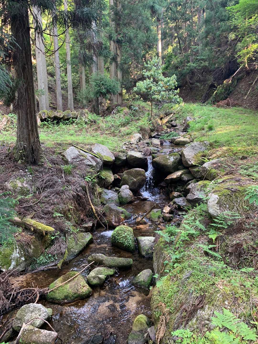 法沢山 往復コースの写真