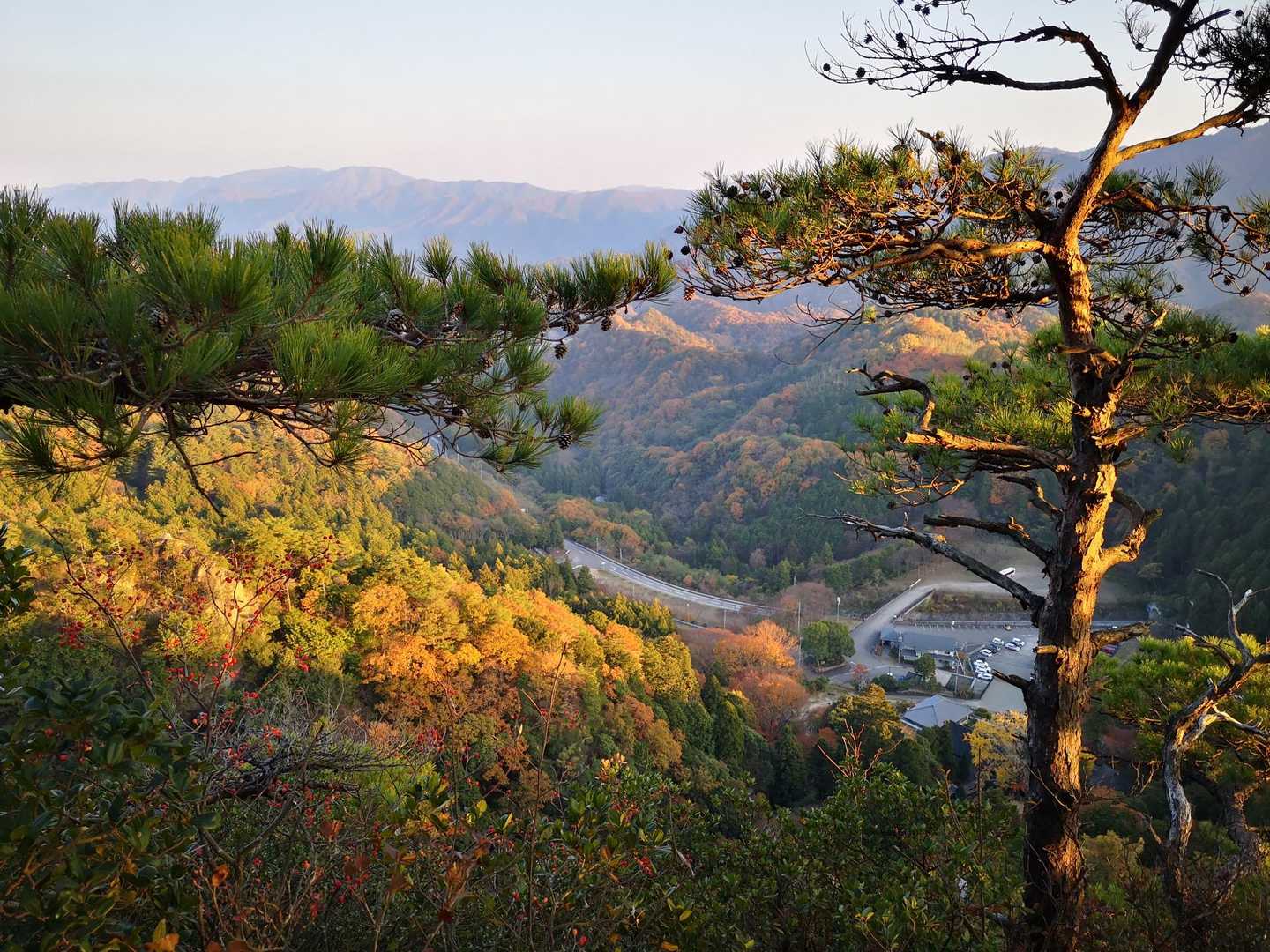 矢筈山・女体山登山口-女体山 (長尾）-矢筈山登山口-矢筈 往復コースの写真
