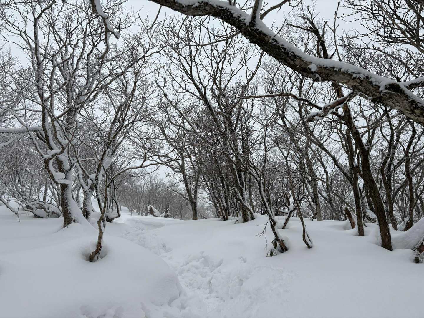 雪はあるけど、チェンスパいらず🙆‍♀️
ゲイター、ストックあればいけました