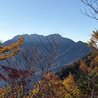 ほんとこの時期の甲斐駒も好き❤️