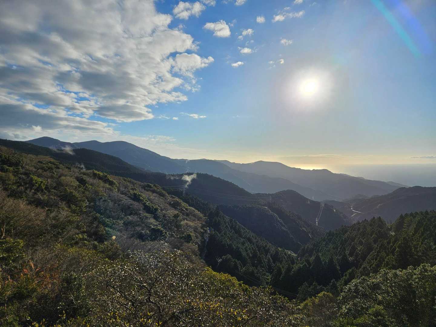 やっと晴れた
伊豆山稜線歩道は泥んこ祭りでした