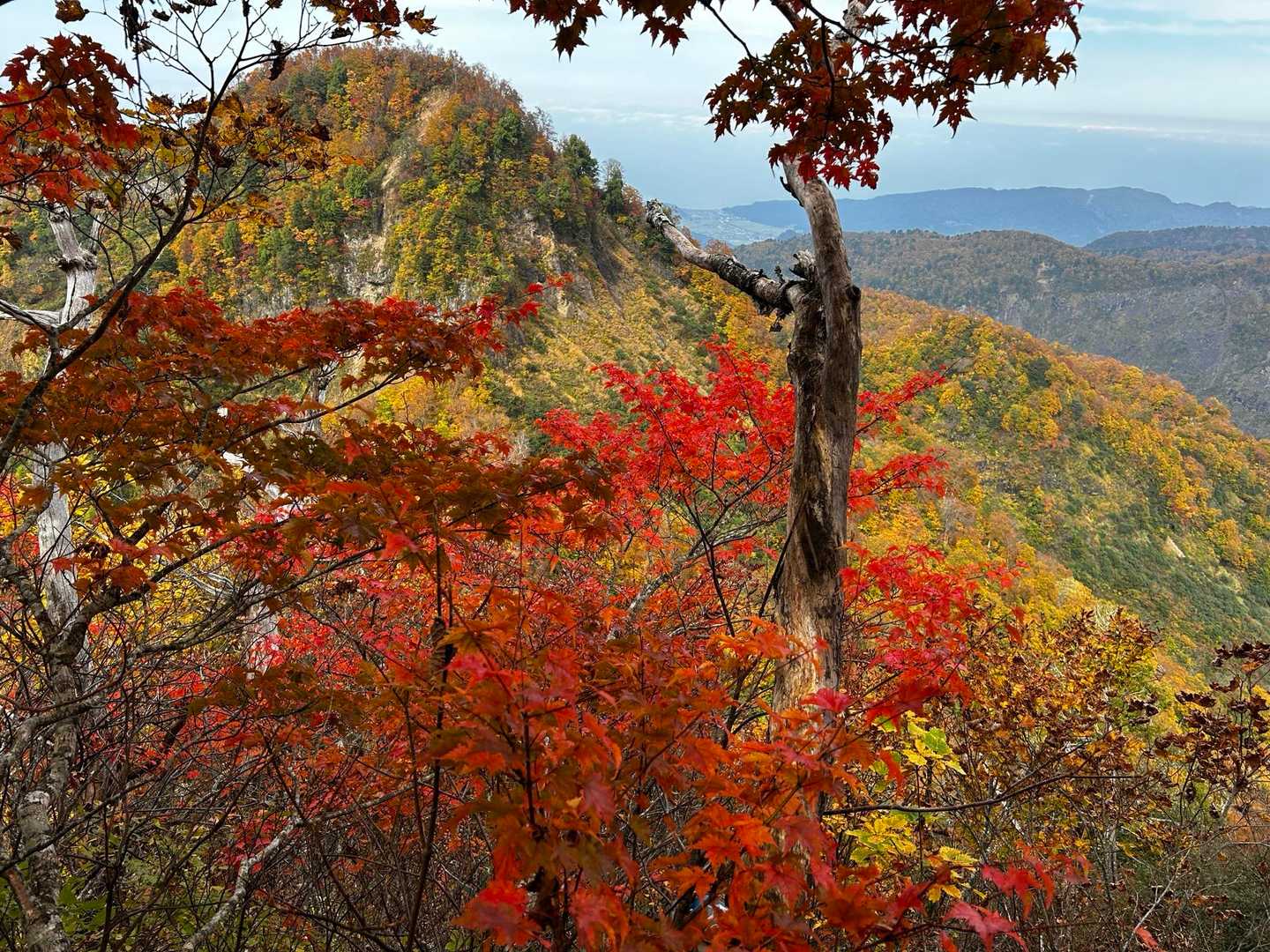 駒ヶ岳登山口-駒ヶ岳-鬼ヶ面山-鋸岳-鋸岳登山口 縦走コースの写真