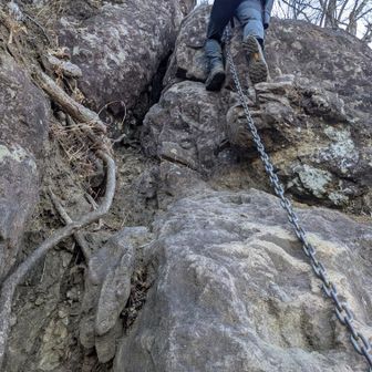 まだまだ序の口