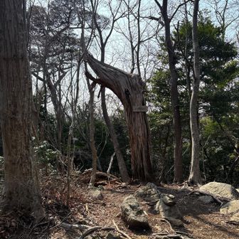 横根山見晴らしの丘