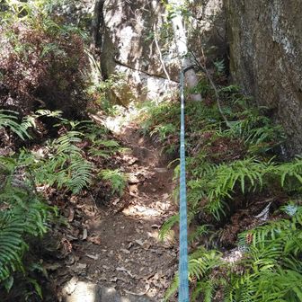 急登はロープ🪢あり